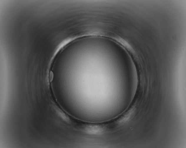 X0000086741230200704201659