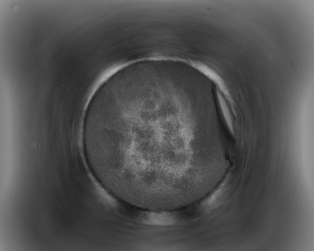 X0000086741231200704201659