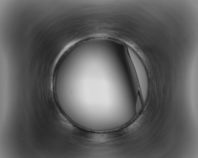 X0000086741232200704201659