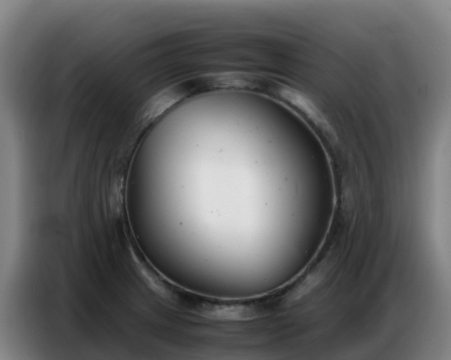 X0000086741233200704201659