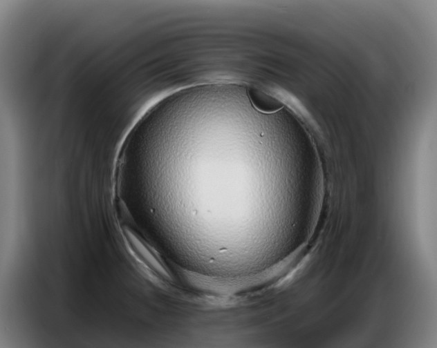 X0000086741236200704201659