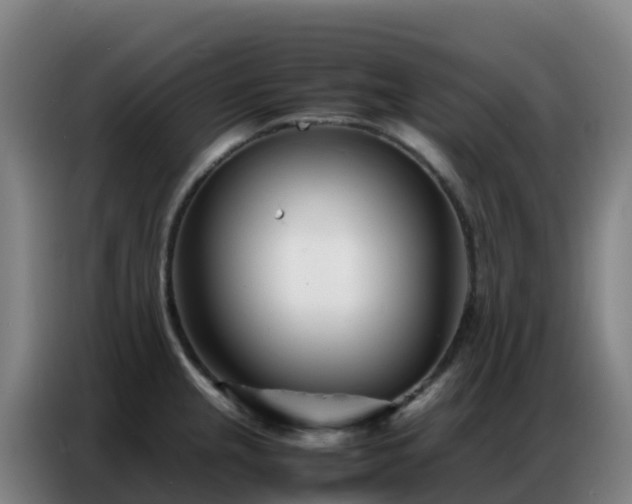 X0000086741237200704201659