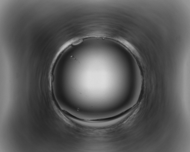 X0000086741238200704201659