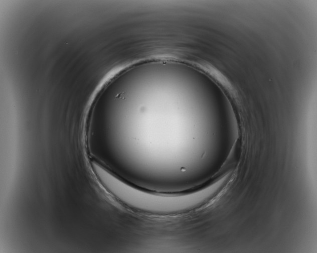 X0000086741240200704201659