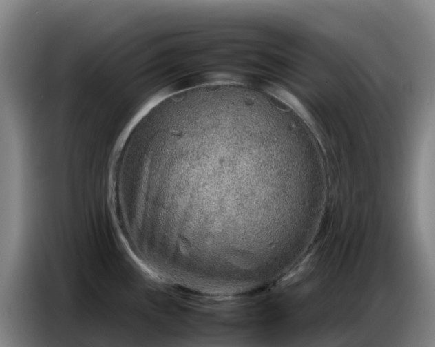 X0000086741243200704201659