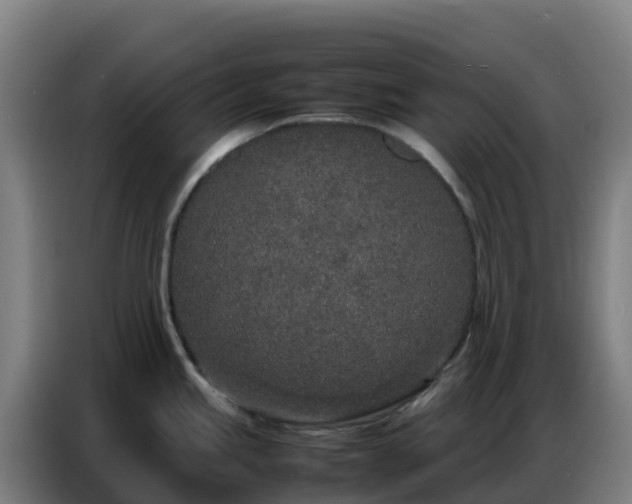 X0000086741245200704201659
