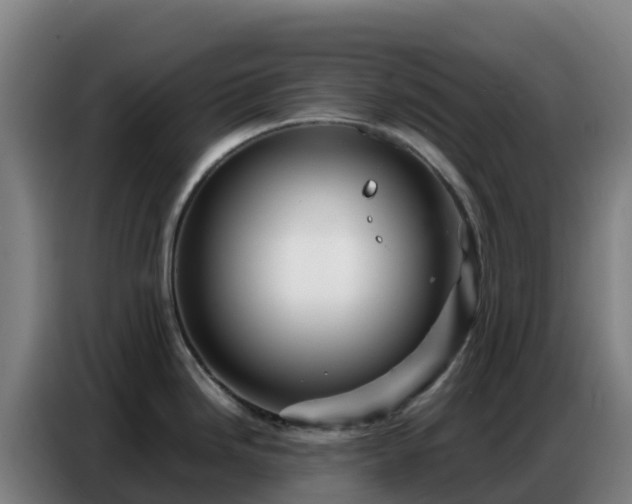 X0000086741246200704201659