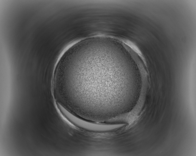 X0000086741247200704201659