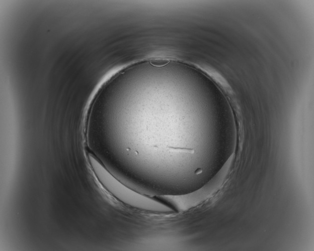 X0000086741248200704201659