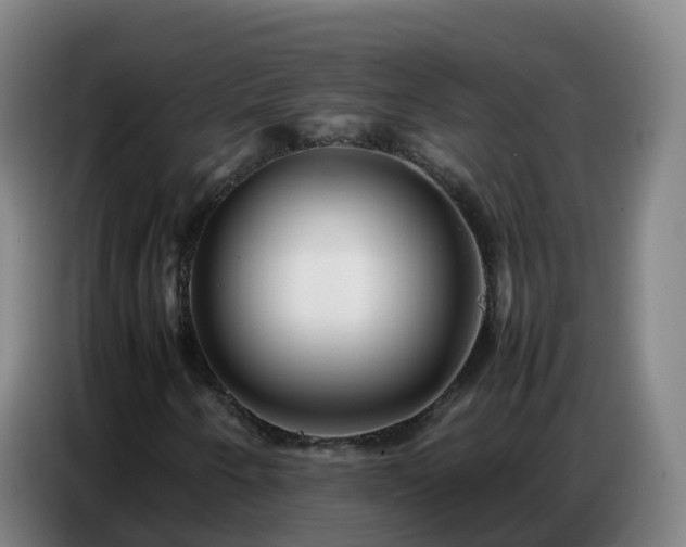 X0000086741250200704201659