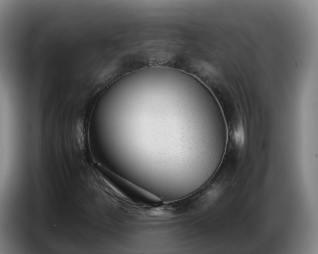 X0000086741252200704201659