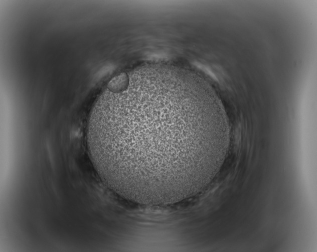X0000086741254200704201659