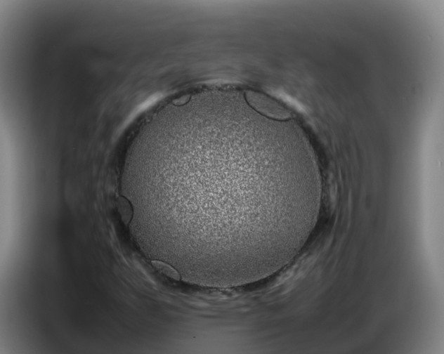 X0000086741255200704201659