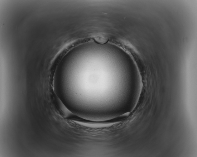 X0000086741256200704201659