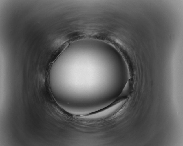 X0000086741257200704201659
