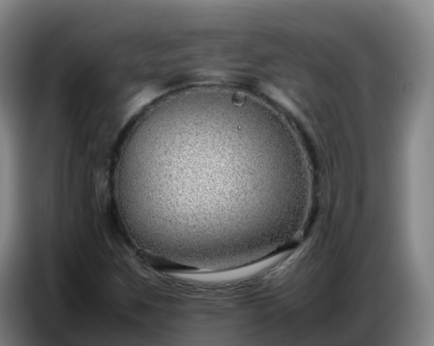 X0000086741259200704201659