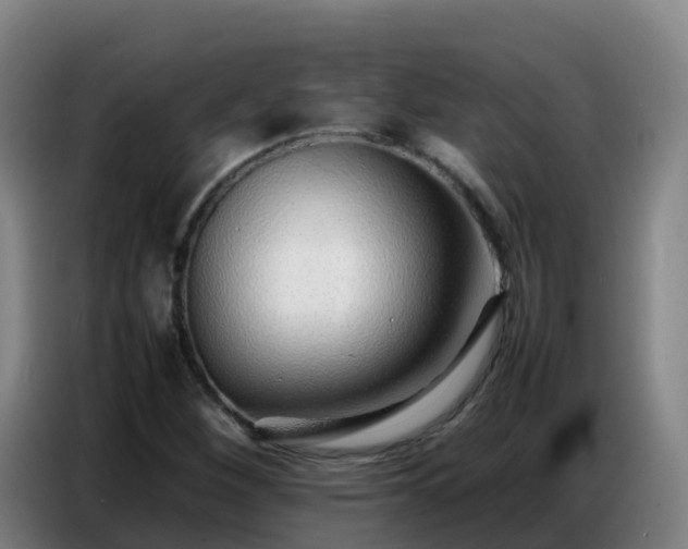 X0000086741260200704201659