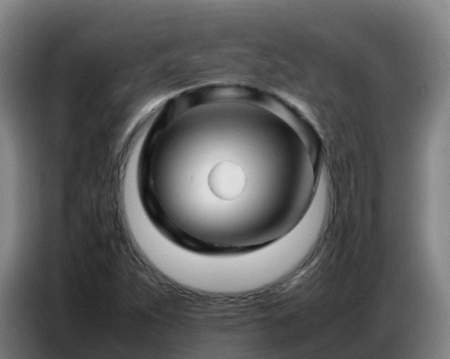 X0000086741263200704201659