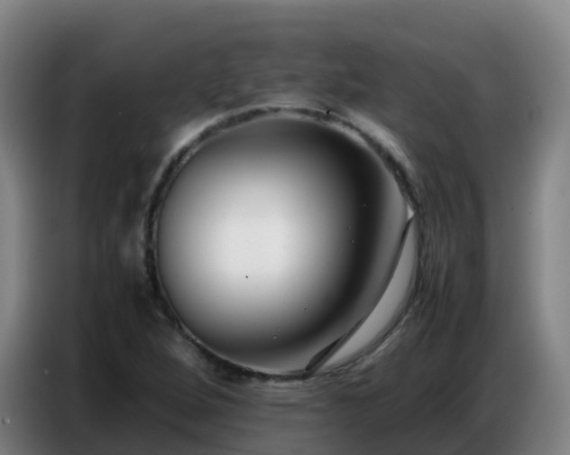 X0000086741264200704201659