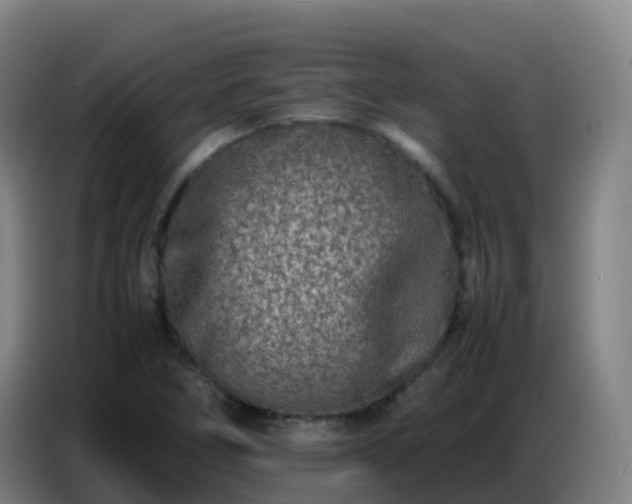 X0000086741266200704201659