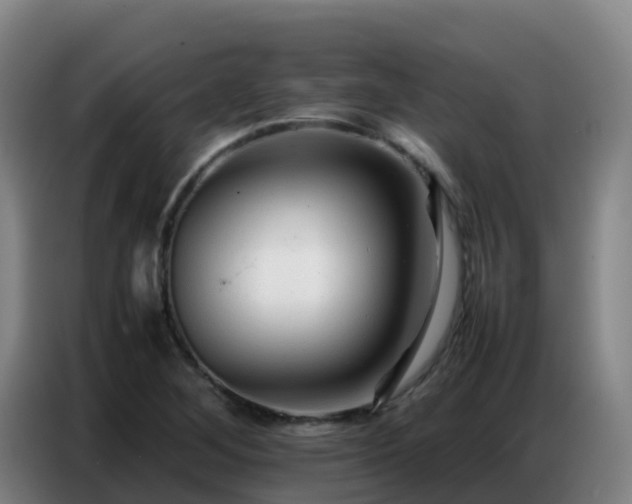 X0000086741268200704201659