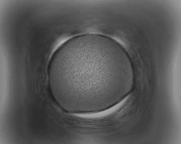 X0000086741271200704201658