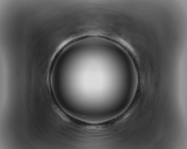 X0000086741272200704201658