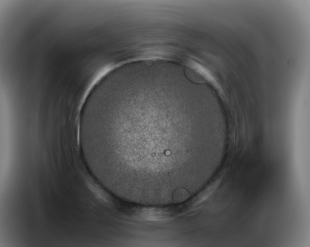 X0000086741275200704201658