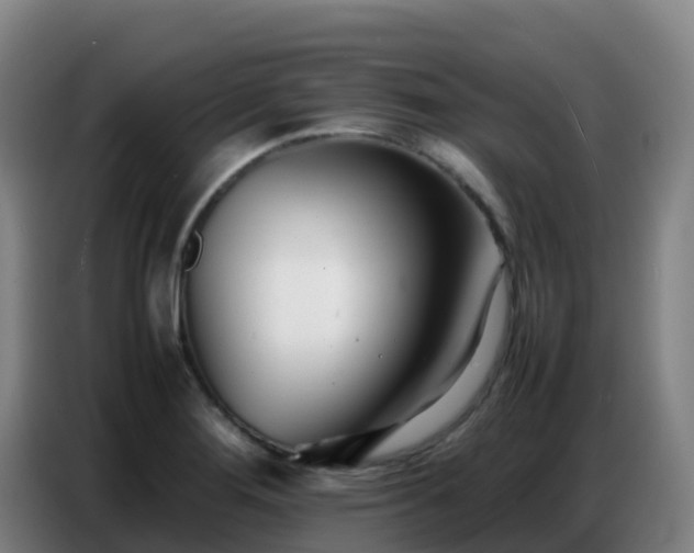 X0000086741276200704201658