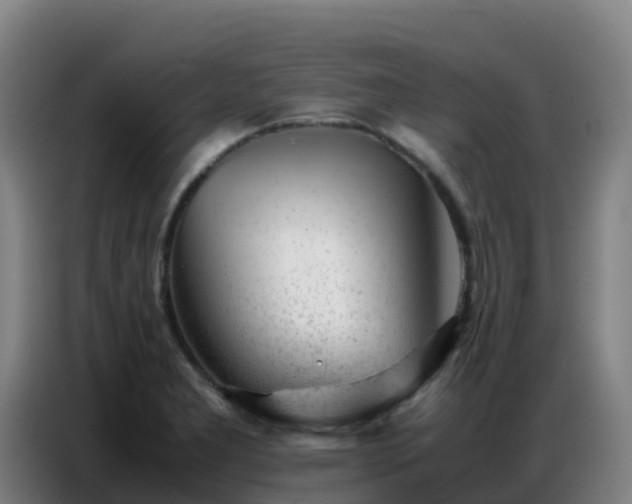 X0000086741277200704201658