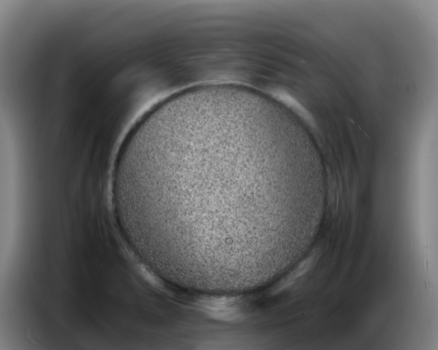 X0000086741278200704201658
