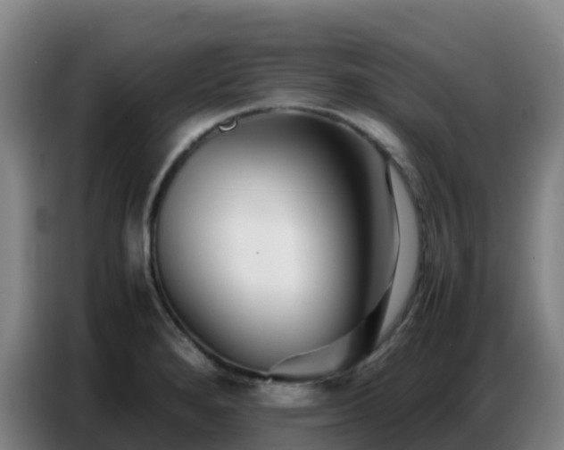 X0000086741280200704201658