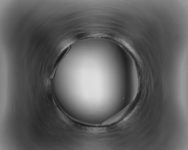 X0000086741281200704201658
