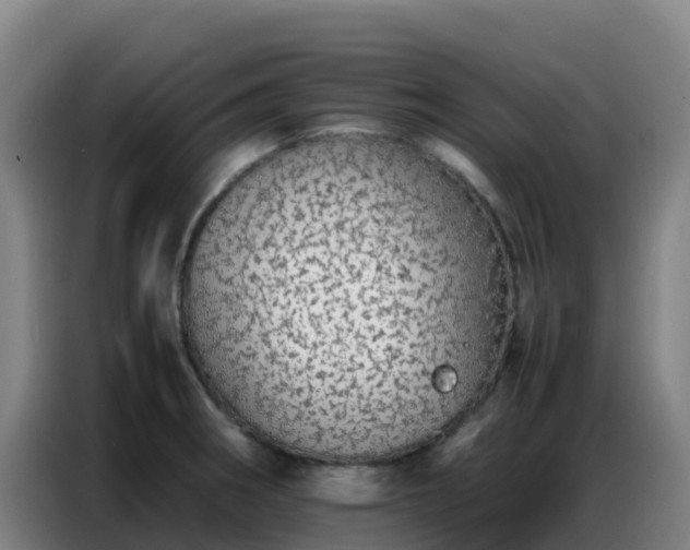 X0000086741282200704201658