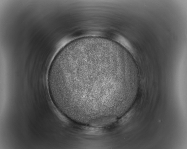 X0000086741283200704201658