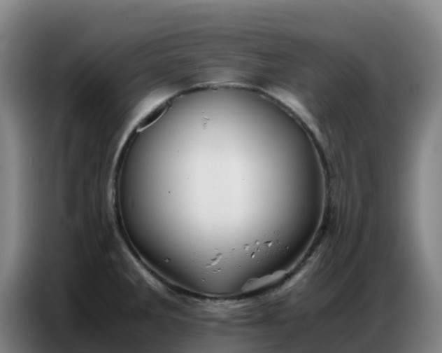 X0000086741285200704201658