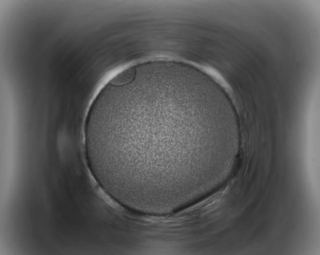 X0000086741287200704201658