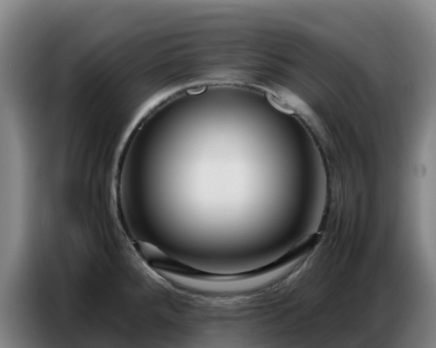 X0000086741288200704201658