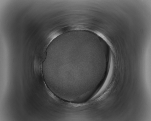 X0000086741289200704201658