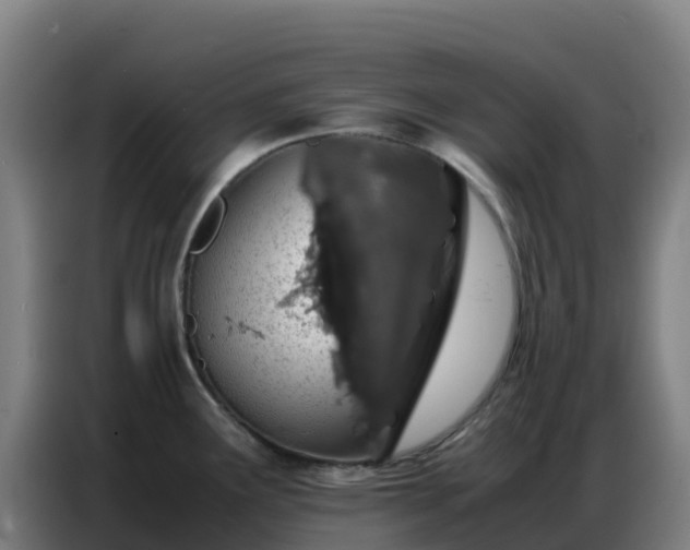 X0000086741291200704201658