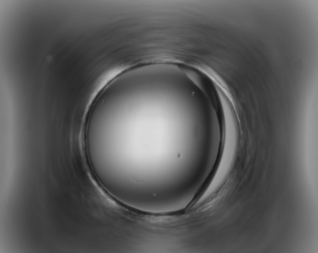 X0000086741293200704201658