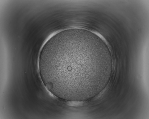 X0000086741294200704201658