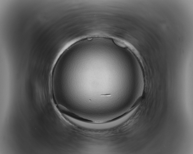 X0000086741295200704201658