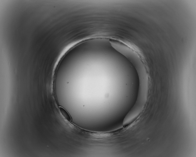 X0000086741296200704201658