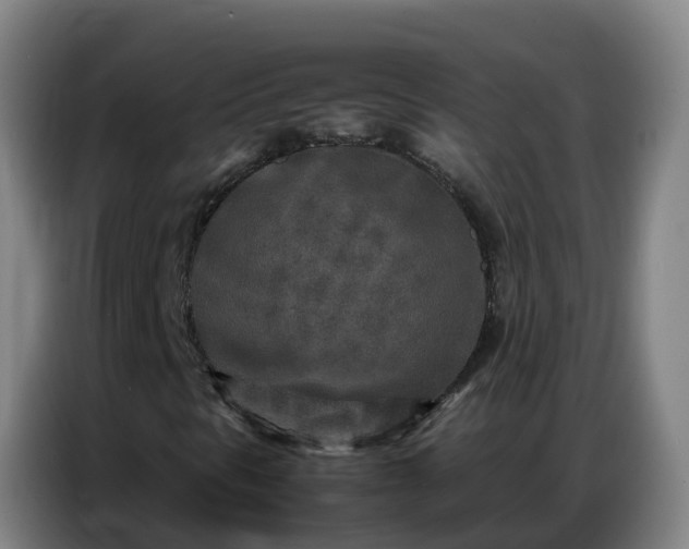 X0000086741297200704201658