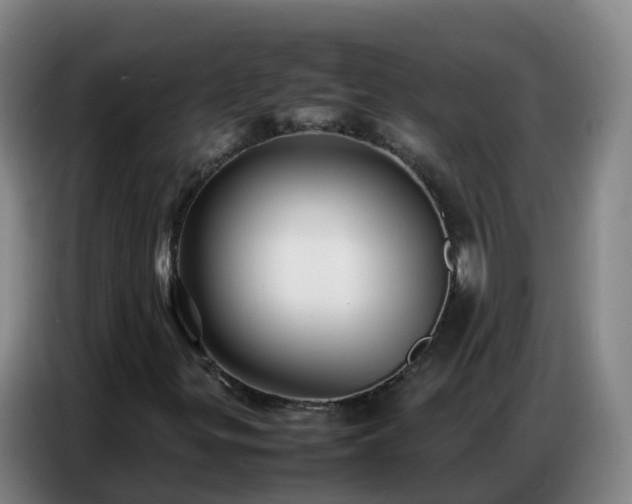 X0000086741299200704201658
