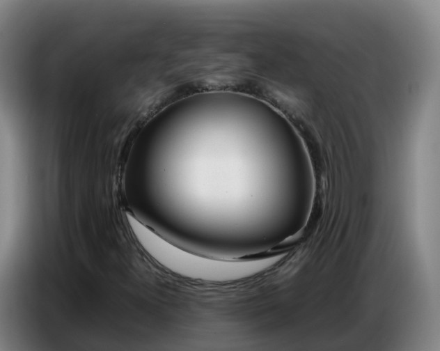 X0000086741300200704201658
