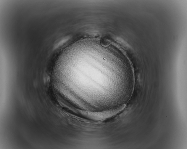 X0000086741302200704201658