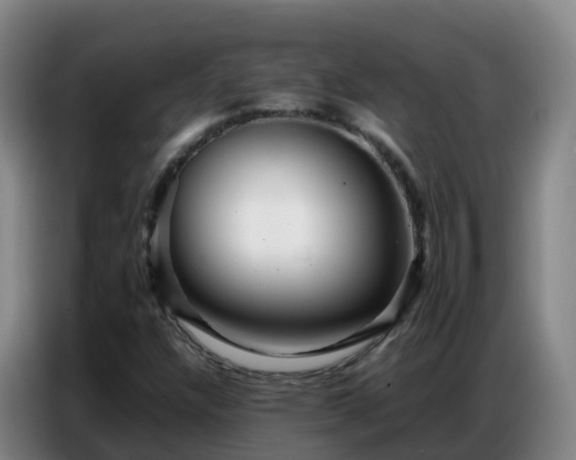 X0000086741304200704201658