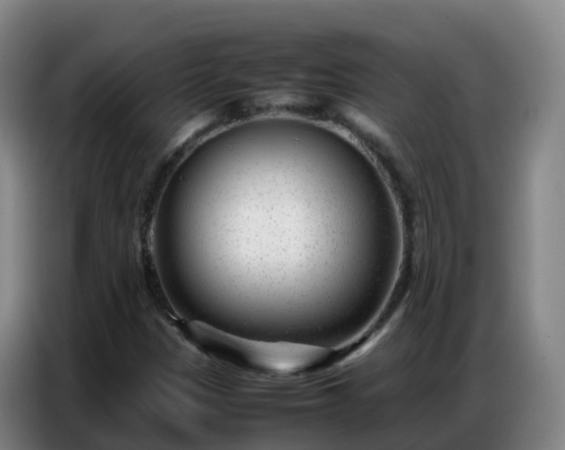 X0000086741305200704201658